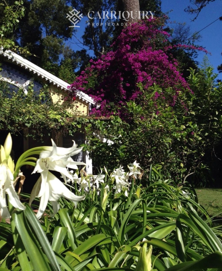 Pinares - GoPunta - Portal Inmobiliario de Punta del Este - Maldonado