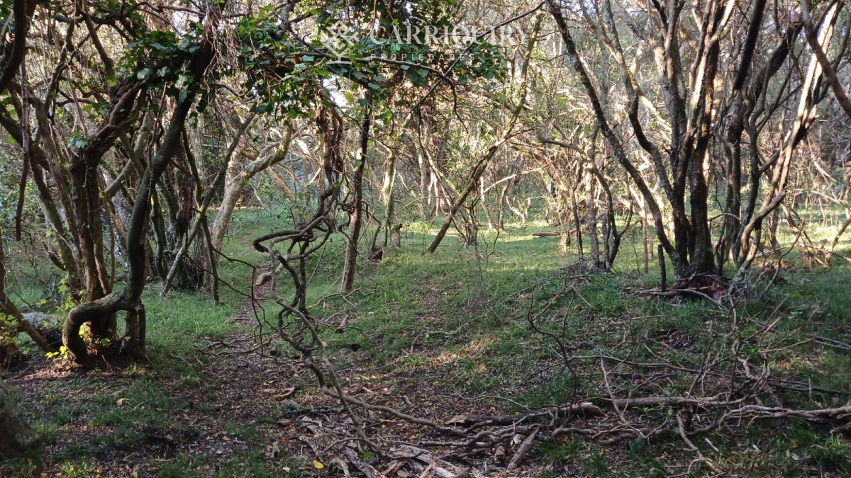 Chacra ID.9672/CHACRA-EN-VENTA-CASI-2-HÁS- - Campo 63 Has en Venta sobre Ruta 12 | Proyecto Aprobado 3 Has | Junto a Pueblo Edén | Ideal Desarrollo Inmobiliario