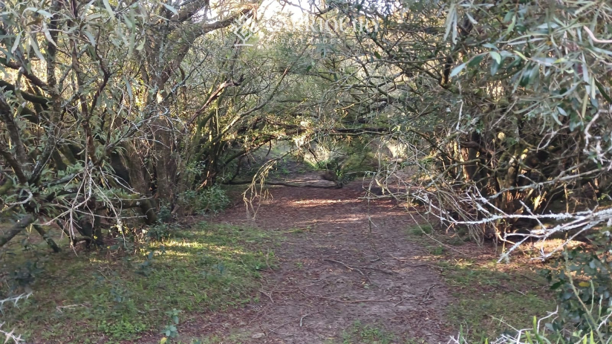 Chacra ID.9672/CHACRA-EN-VENTA-CASI-2-HÁS- - Campo 63 Has en Venta sobre Ruta 12 | Proyecto Aprobado 3 Has | Junto a Pueblo Edén | Ideal Desarrollo Inmobiliario