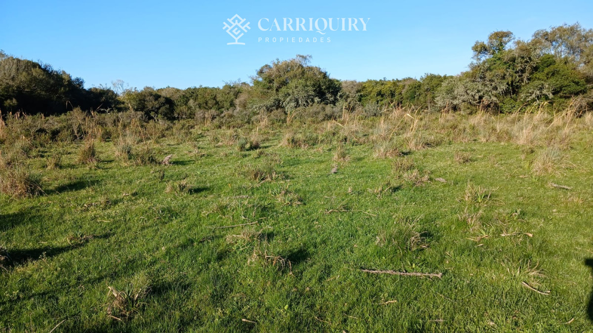 Chacra ID.9672/CHACRA-EN-VENTA-CASI-2-HÁS- - Campo 63 Has en Venta sobre Ruta 12 | Proyecto Aprobado 3 Has | Junto a Pueblo Edén | Ideal Desarrollo Inmobiliario