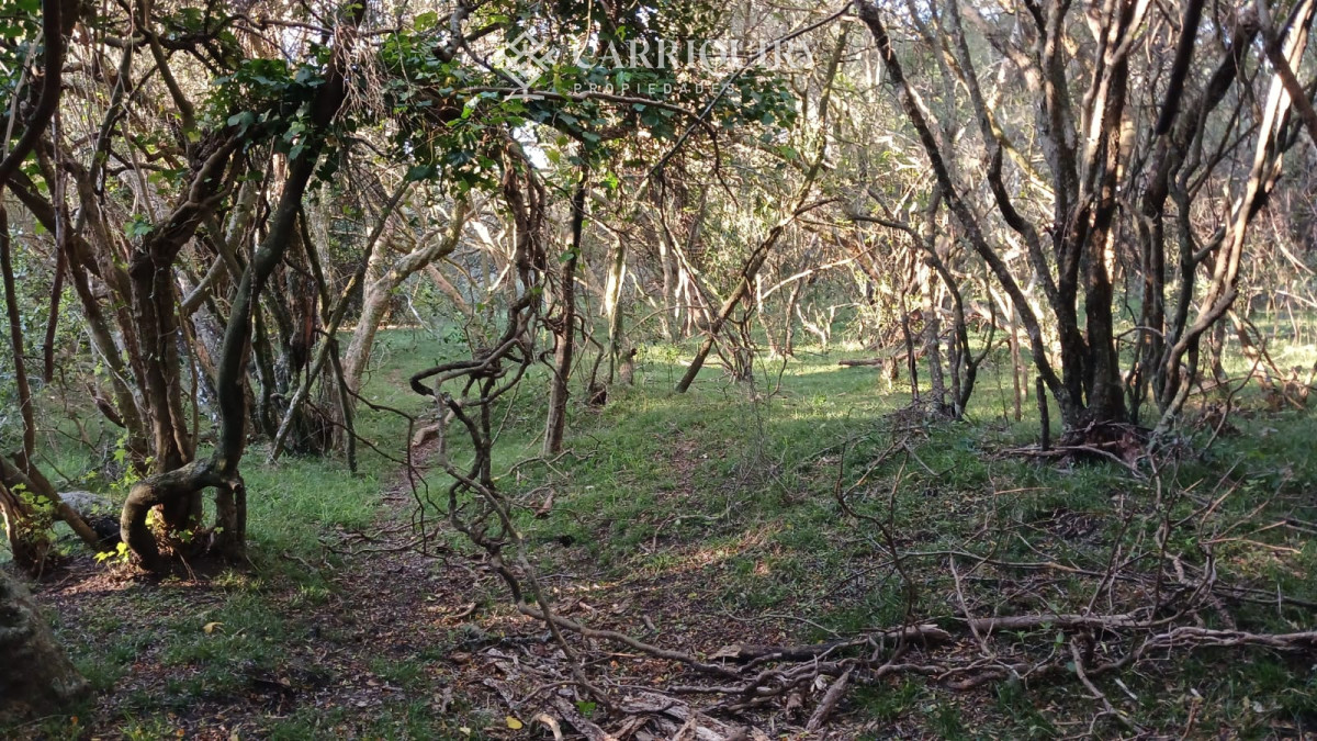 Chacra ID.9672/CHACRA-EN-VENTA-CASI-2-HÁS- - Campo 63 Has en Venta sobre Ruta 12 | Proyecto Aprobado 3 Has | Junto a Pueblo Edén | Ideal Desarrollo Inmobiliario