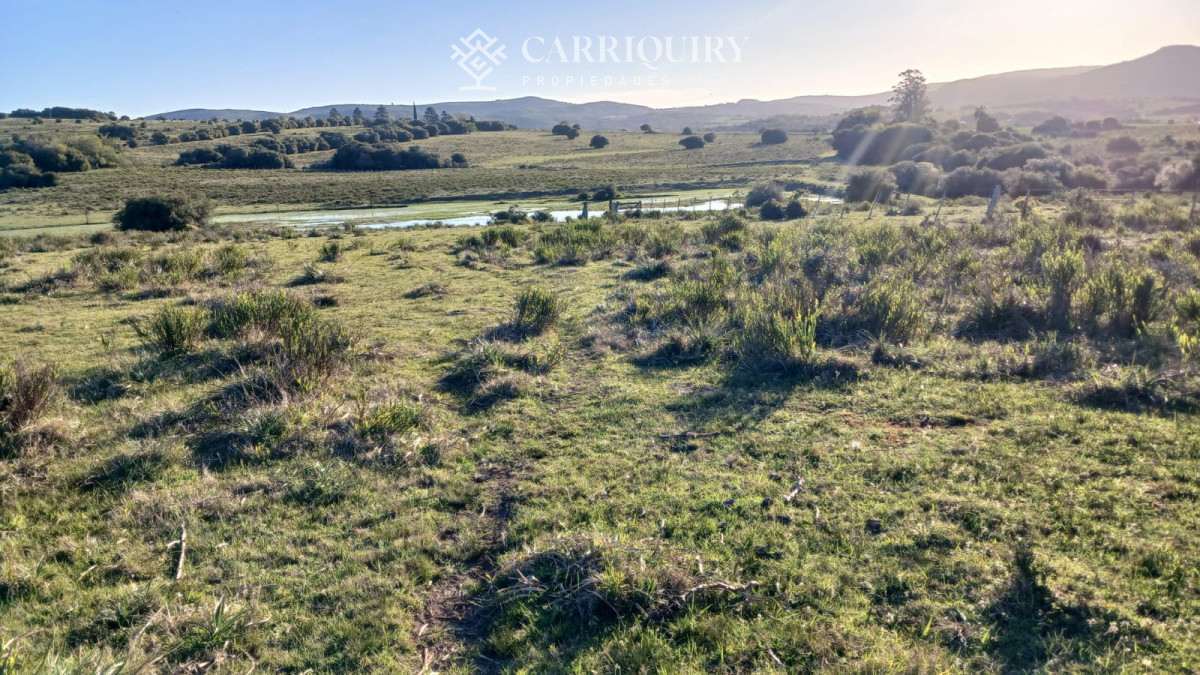 Chacra ID.9672/CHACRA-EN-VENTA-CASI-2-HÁS- - Campo 63 Has en Venta sobre Ruta 12 | Proyecto Aprobado 3 Has | Junto a Pueblo Edén | Ideal Desarrollo Inmobiliario