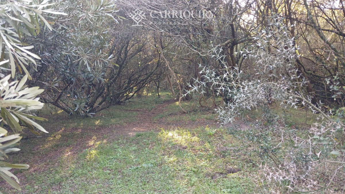 Chacra ID.9672/CHACRA-EN-VENTA-CASI-2-HÁS- - Campo 63 Has en Venta sobre Ruta 12 | Proyecto Aprobado 3 Has | Junto a Pueblo Edén | Ideal Desarrollo Inmobiliario