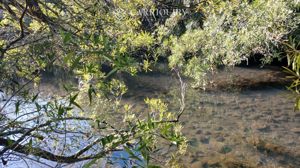 Chacra ID.9672/CHACRA-EN-VENTA-CASI-2-HÁS- - Campo 63 Has en Venta sobre Ruta 12 | Proyecto Aprobado 3 Has | Junto a Pueblo Edén | Ideal Desarrollo Inmobiliario