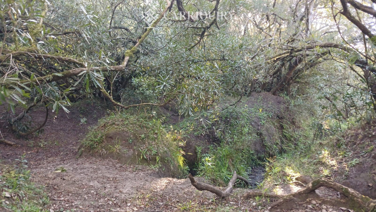 Chacra ID.9672/CHACRA-EN-VENTA-CASI-2-HÁS- - Campo 63 Has en Venta sobre Ruta 12 | Proyecto Aprobado 3 Has | Junto a Pueblo Edén | Ideal Desarrollo Inmobiliario