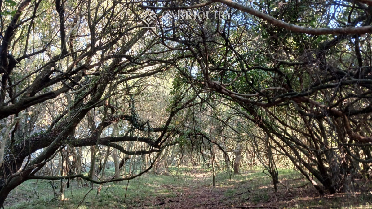 Chacra ID.9672/CHACRA-EN-VENTA-CASI-2-HÁS- - Campo 63 Has en Venta sobre Ruta 12 | Proyecto Aprobado 3 Has | Junto a Pueblo Edén | Ideal Desarrollo Inmobiliario