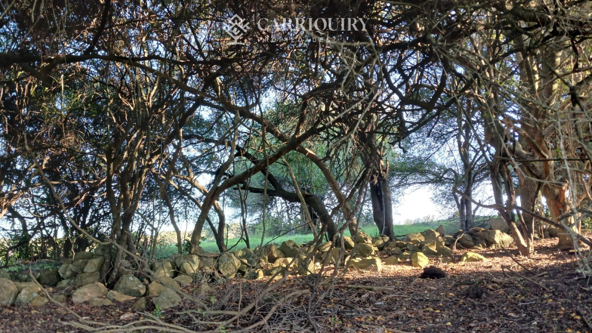 Chacra ID.9672/CHACRA-EN-VENTA-CASI-2-HÁS- - Campo 63 Has en Venta sobre Ruta 12 | Proyecto Aprobado 3 Has | Junto a Pueblo Edén | Ideal Desarrollo Inmobiliario