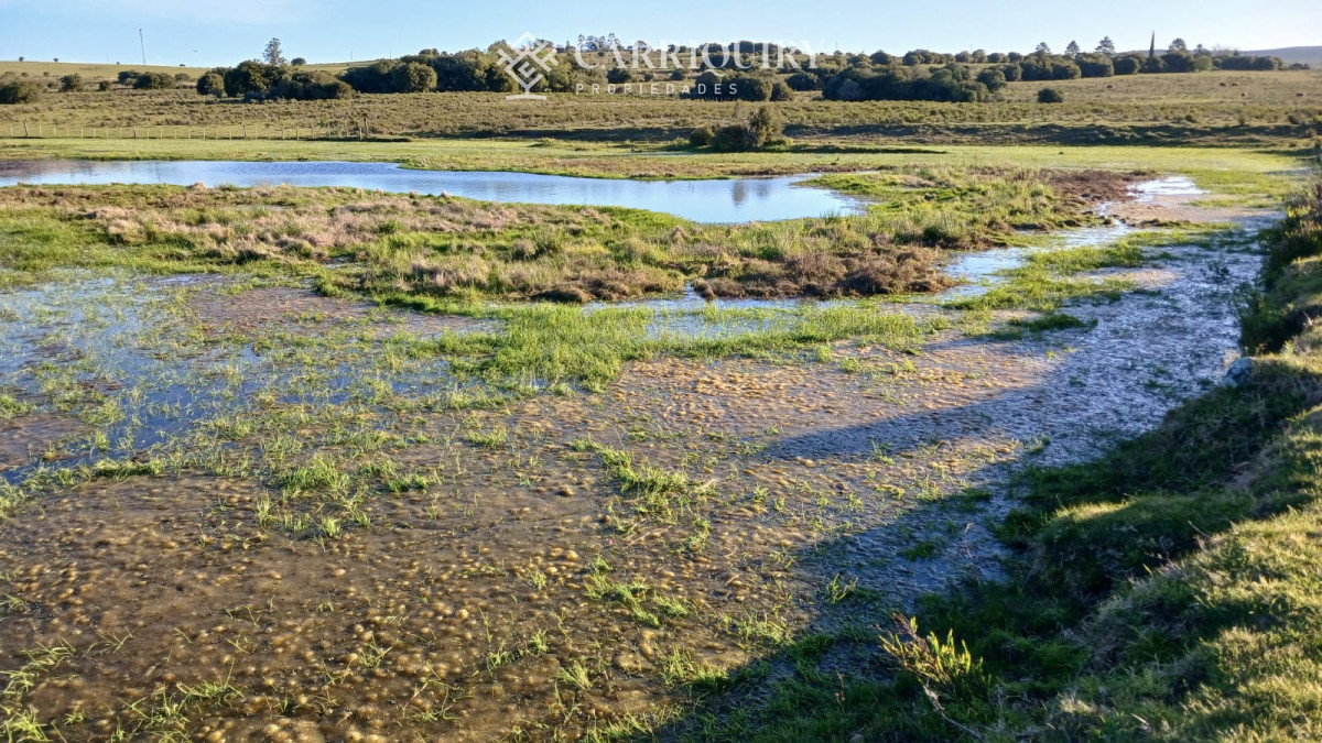 Chacra ID.9672/CHACRA-EN-VENTA-CASI-2-HÁS- - Campo 63 Has en Venta sobre Ruta 12 | Proyecto Aprobado 3 Has | Junto a Pueblo Edén | Ideal Desarrollo Inmobiliario