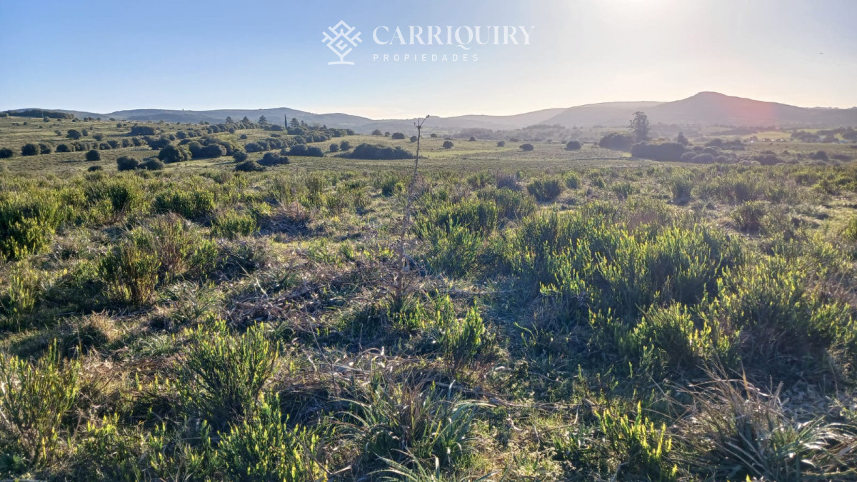Chacra ID.9672/CHACRA-EN-VENTA-CASI-2-HÁS- - Campo 63 Has en Venta sobre Ruta 12 | Proyecto Aprobado 3 Has | Junto a Pueblo Edén | Ideal Desarrollo Inmobiliario
