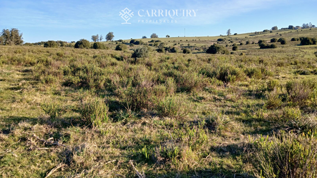 Chacra ID.9672/CHACRA-EN-VENTA-CASI-2-HÁS- - Campo 63 Has en Venta sobre Ruta 12 | Proyecto Aprobado 3 Has | Junto a Pueblo Edén | Ideal Desarrollo Inmobiliario