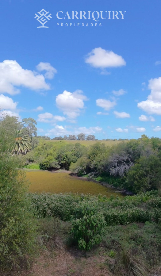 Chacra ID.9721/venta-de-chacra-en-Maldonado - CHACRA EN VENTA CASI 2 HÁS 