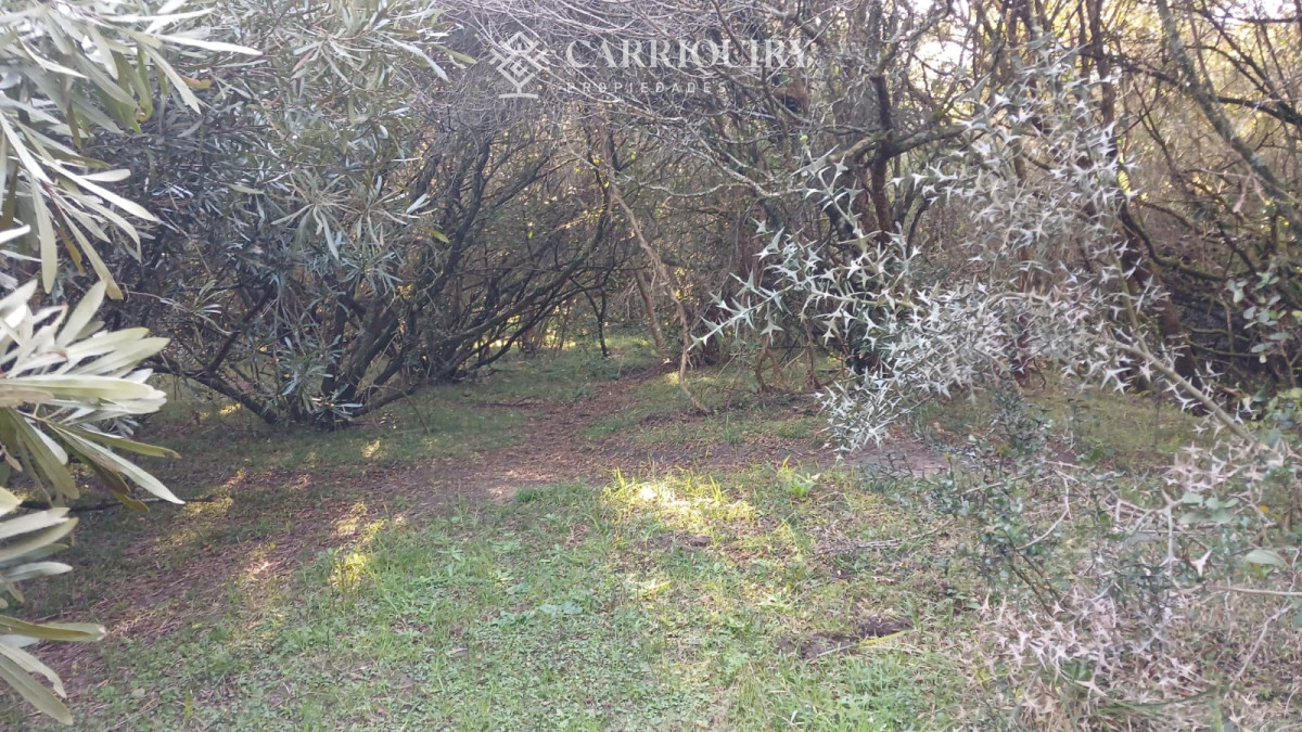 Chacra ID.9672/CHACRA-EN-VENTA-CASI-2-HÁS- - Campo 63 Has en Venta sobre Ruta 12 | Proyecto Aprobado 3 Has | Junto a Pueblo Edén | Ideal Desarrollo Inmobiliario