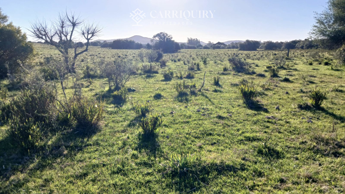 Chacra ID.9672/CHACRA-EN-VENTA-CASI-2-HÁS- - Campo 63 Has en Venta sobre Ruta 12 | Proyecto Aprobado 3 Has | Junto a Pueblo Edén | Ideal Desarrollo Inmobiliario