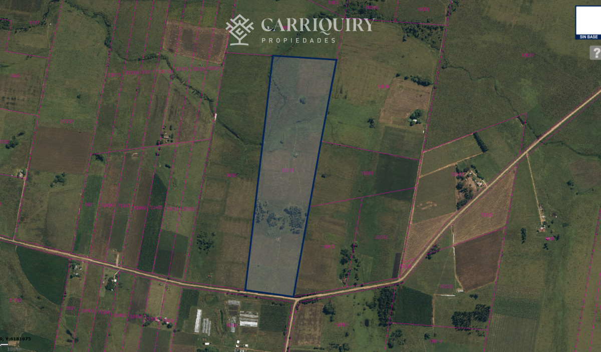 Chacra ID.9653/Chacra-en-venta-Laguna-Del-Sauce- - OPORTUNIDAD CHACRA EN VENTA 14 HAS EN LA ZONA DE MIGUEL BUEBOS CAMINIOS