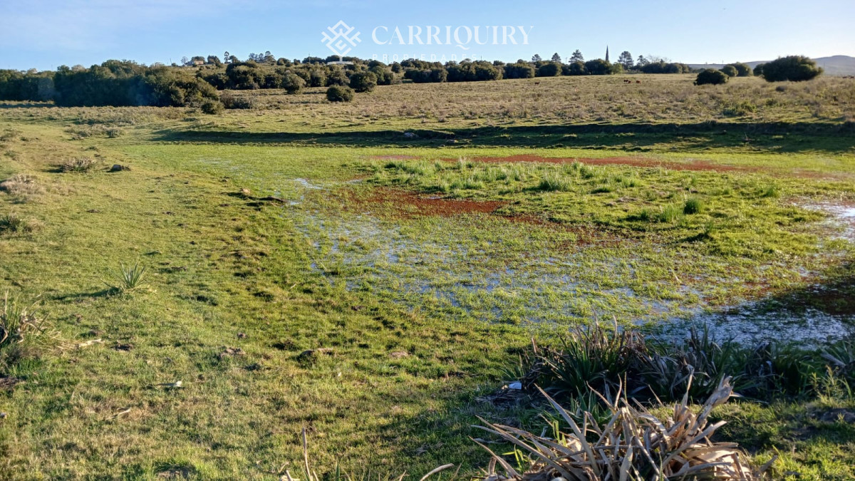 Chacra ID.9672/CHACRA-EN-VENTA-CASI-2-HÁS- - Campo 63 Has en Venta sobre Ruta 12 | Proyecto Aprobado 3 Has | Junto a Pueblo Edén | Ideal Desarrollo Inmobiliario