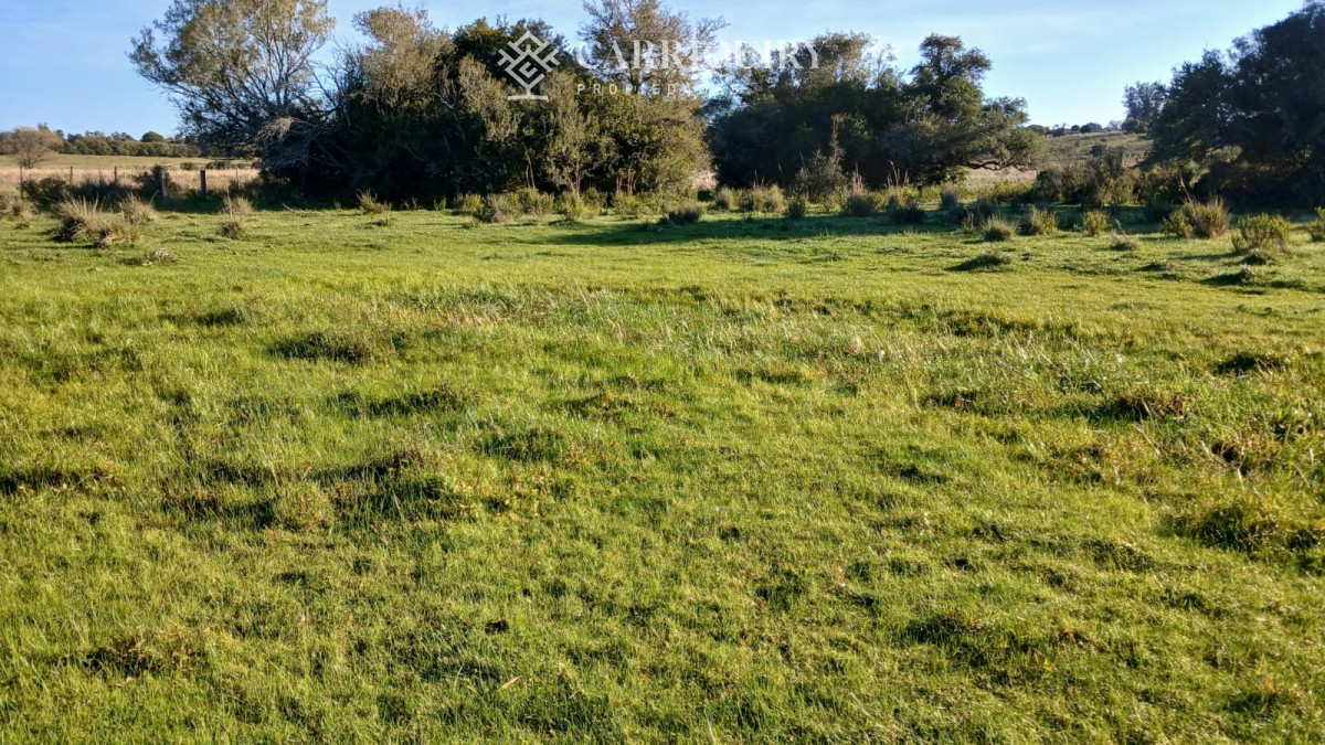 Chacra ID.9672/CHACRA-EN-VENTA-CASI-2-HÁS- - Campo 63 Has en Venta sobre Ruta 12 | Proyecto Aprobado 3 Has | Junto a Pueblo Edén | Ideal Desarrollo Inmobiliario