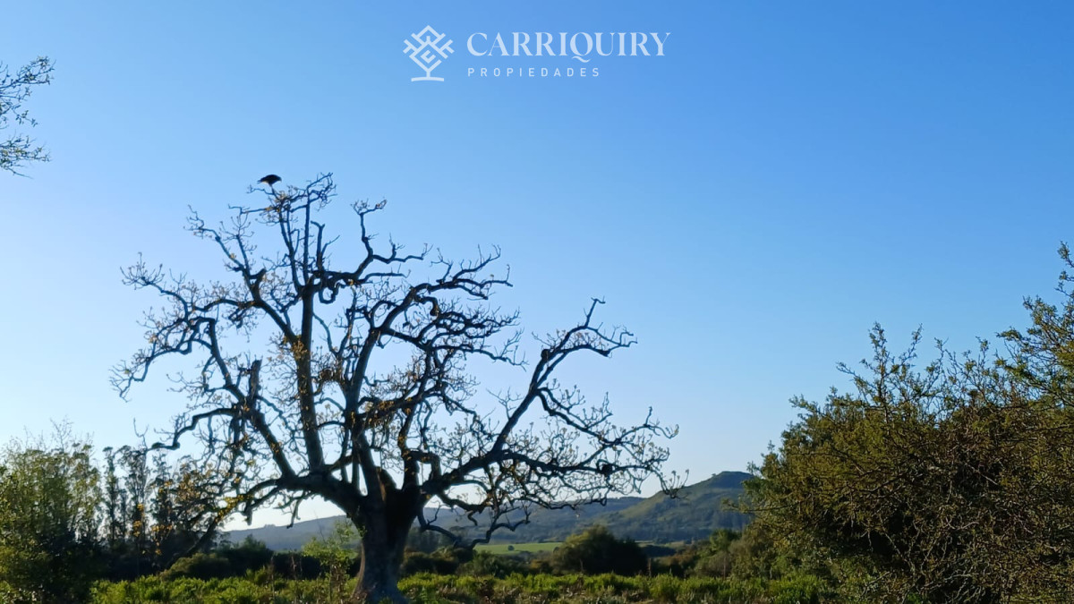 Chacra ID.9672/CHACRA-EN-VENTA-CASI-2-HÁS- - Campo 63 Has en Venta sobre Ruta 12 | Proyecto Aprobado 3 Has | Junto a Pueblo Edén | Ideal Desarrollo Inmobiliario