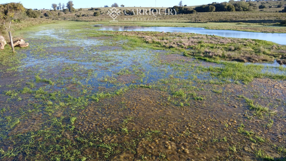 Chacra ID.9672/CHACRA-EN-VENTA-CASI-2-HÁS- - Campo 63 Has en Venta sobre Ruta 12 | Proyecto Aprobado 3 Has | Junto a Pueblo Edén | Ideal Desarrollo Inmobiliario