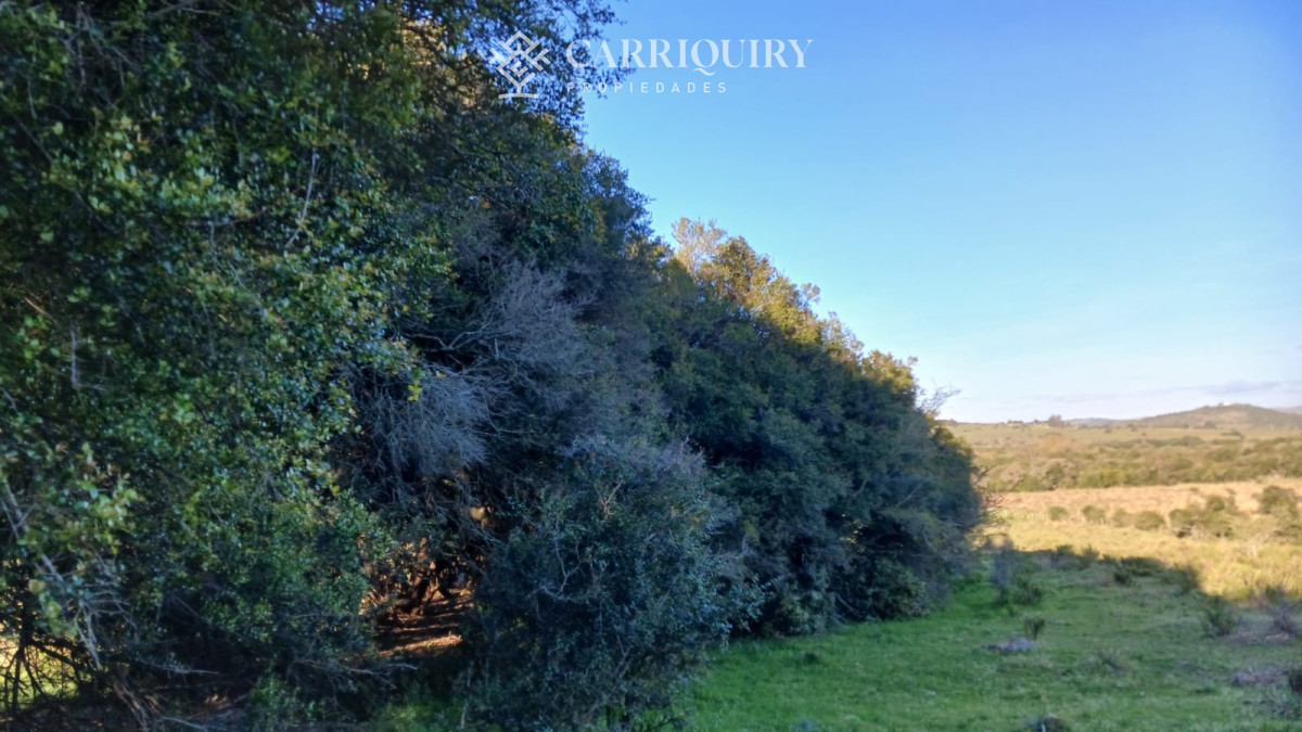 Chacra ID.9672/CHACRA-EN-VENTA-CASI-2-HÁS- - Campo 63 Has en Venta sobre Ruta 12 | Proyecto Aprobado 3 Has | Junto a Pueblo Edén | Ideal Desarrollo Inmobiliario