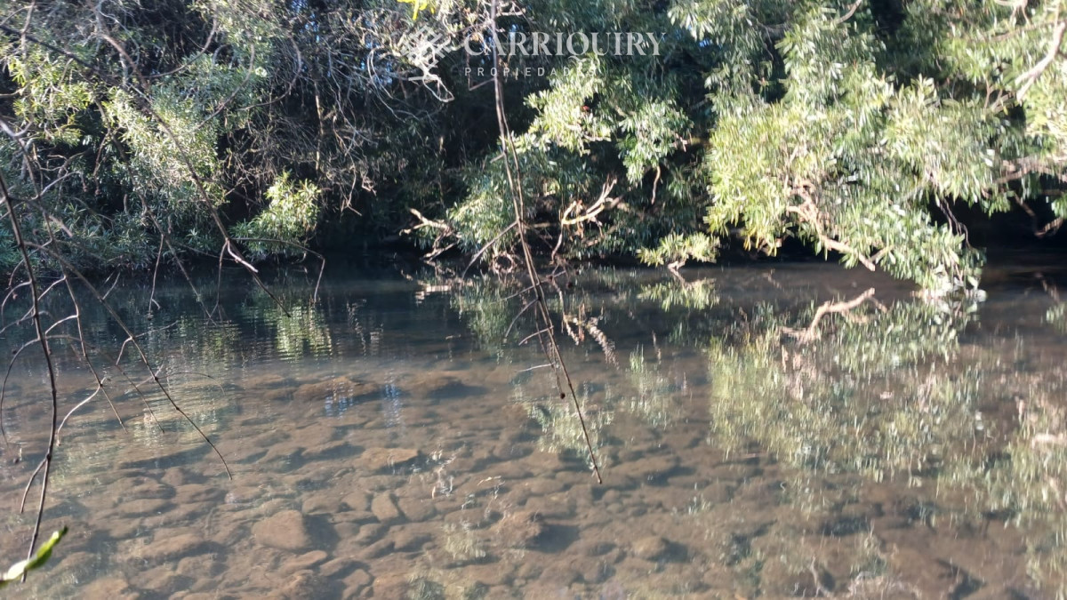 Chacra ID.9672/CHACRA-EN-VENTA-CASI-2-HÁS- - Campo 63 Has en Venta sobre Ruta 12 | Proyecto Aprobado 3 Has | Junto a Pueblo Edén | Ideal Desarrollo Inmobiliario