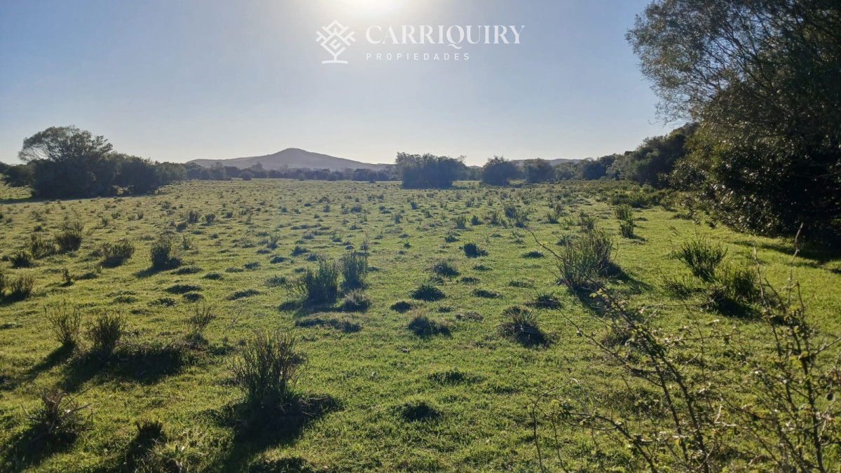 Chacra ID.9672/CHACRA-EN-VENTA-CASI-2-HÁS- - Campo 63 Has en Venta sobre Ruta 12 | Proyecto Aprobado 3 Has | Junto a Pueblo Edén | Ideal Desarrollo Inmobiliario