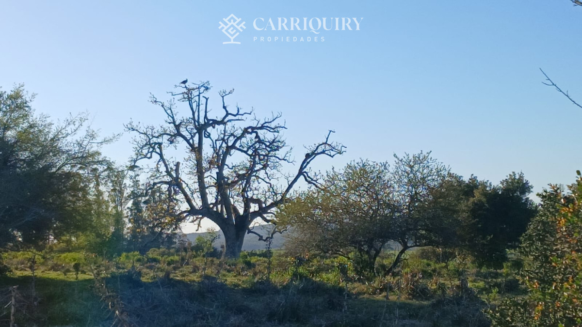 Chacra ID.9672/CHACRA-EN-VENTA-CASI-2-HÁS- - Campo 63 Has en Venta sobre Ruta 12 | Proyecto Aprobado 3 Has | Junto a Pueblo Edén | Ideal Desarrollo Inmobiliario