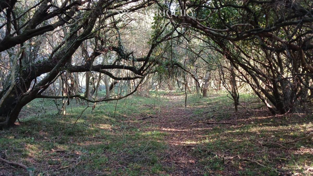 Chacra ID.9672/CHACRA-EN-VENTA-CASI-2-HÁS- - Campo 63 Has en Venta sobre Ruta 12 | Proyecto Aprobado 3 Has | Junto a Pueblo Edén | Ideal Desarrollo Inmobiliario