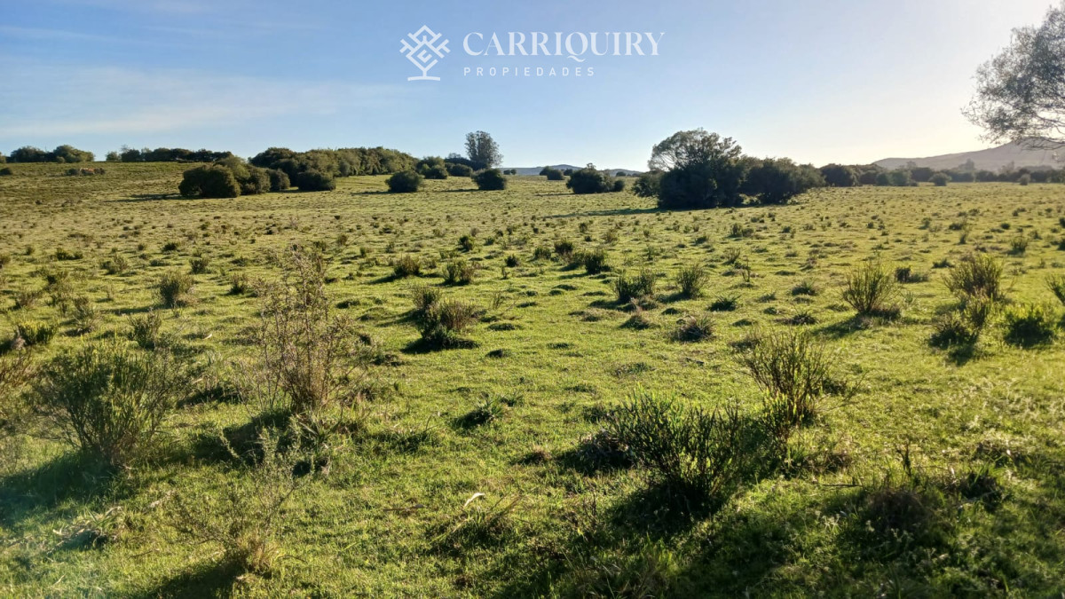Chacra ID.9672/CHACRA-EN-VENTA-CASI-2-HÁS- - Campo 63 Has en Venta sobre Ruta 12 | Proyecto Aprobado 3 Has | Junto a Pueblo Edén | Ideal Desarrollo Inmobiliario