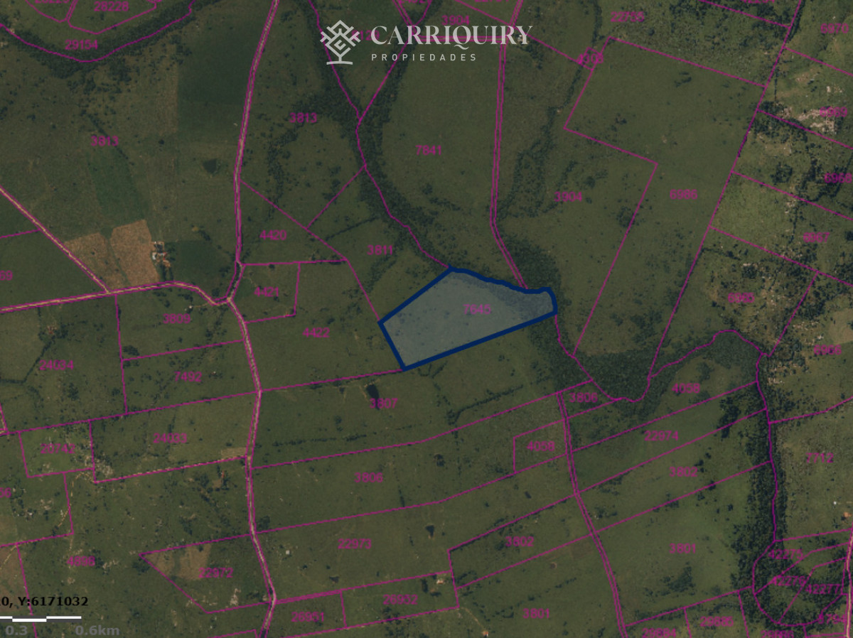 Chacra ID.9672/CHACRA-EN-VENTA-CASI-2-HÁS- - Campo 63 Has en Venta sobre Ruta 12 | Proyecto Aprobado 3 Has | Junto a Pueblo Edén | Ideal Desarrollo Inmobiliario