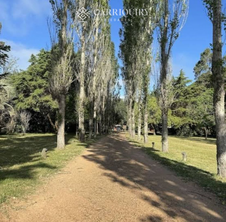 Ruta 104 - GoPunta - Portal Inmobiliario de Punta del Este - Maldonado
