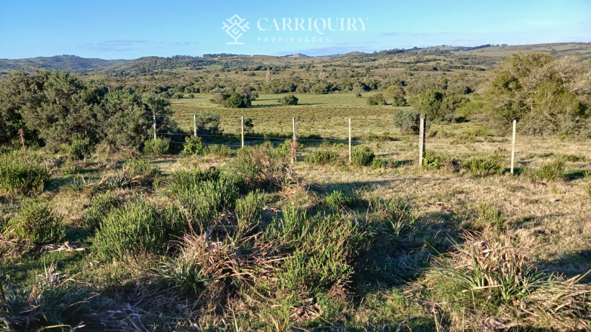 Chacra ID.9672/CHACRA-EN-VENTA-CASI-2-HÁS- - Campo 63 Has en Venta sobre Ruta 12 | Proyecto Aprobado 3 Has | Junto a Pueblo Edén | Ideal Desarrollo Inmobiliario