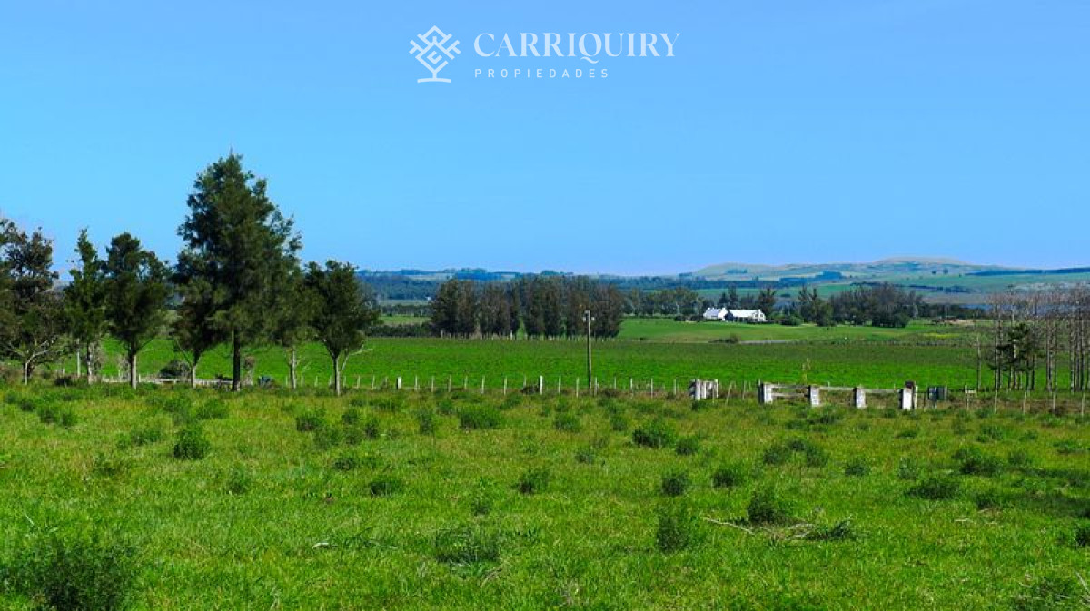 Chacra ID.4661/2-Fracciones-de-5-Has-exactamente-al-fondo-de-La-Pataia-a-5-minutos-de-Punta-! - Chacra en venta Laguna Del Sauce 