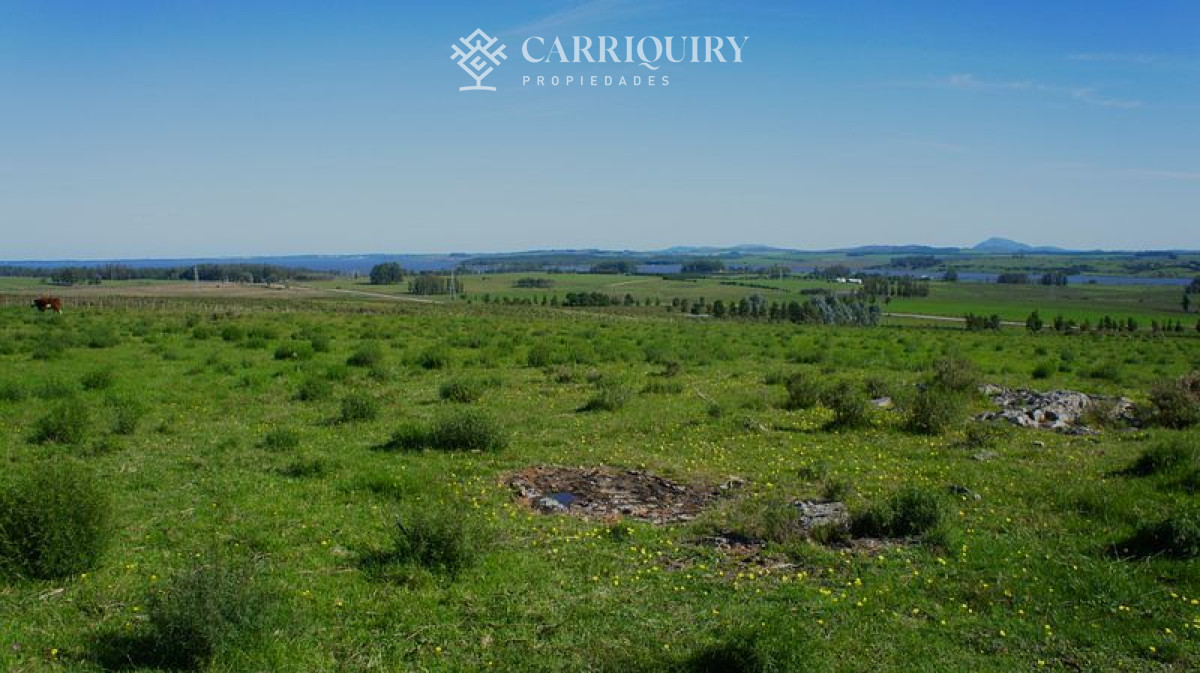 Chacra ID.4661/2-Fracciones-de-5-Has-exactamente-al-fondo-de-La-Pataia-a-5-minutos-de-Punta-! - Chacra en venta Laguna Del Sauce 