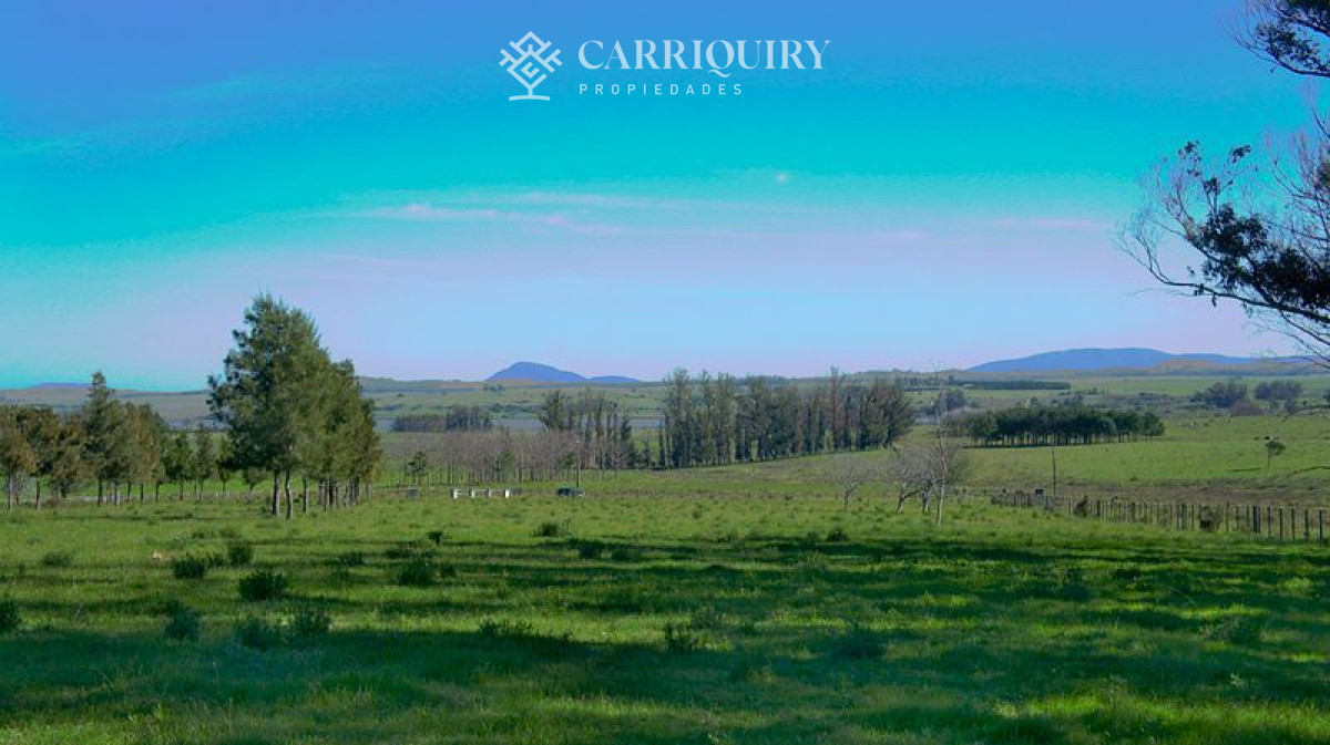 Chacra ID.4661/2-Fracciones-de-5-Has-exactamente-al-fondo-de-La-Pataia-a-5-minutos-de-Punta-! - Chacra en venta Laguna Del Sauce 