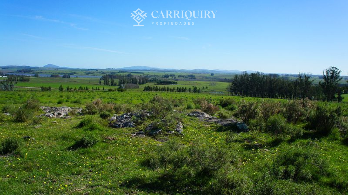 Chacra ID.4661/2-Fracciones-de-5-Has-exactamente-al-fondo-de-La-Pataia-a-5-minutos-de-Punta-! - Chacra en venta Laguna Del Sauce 