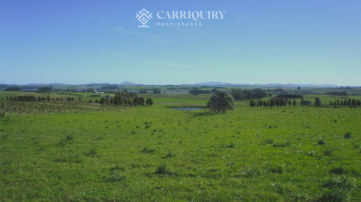 Chacra ID.4661/2-Fracciones-de-5-Has-exactamente-al-fondo-de-La-Pataia-a-5-minutos-de-Punta-! - Chacra en venta Laguna Del Sauce 