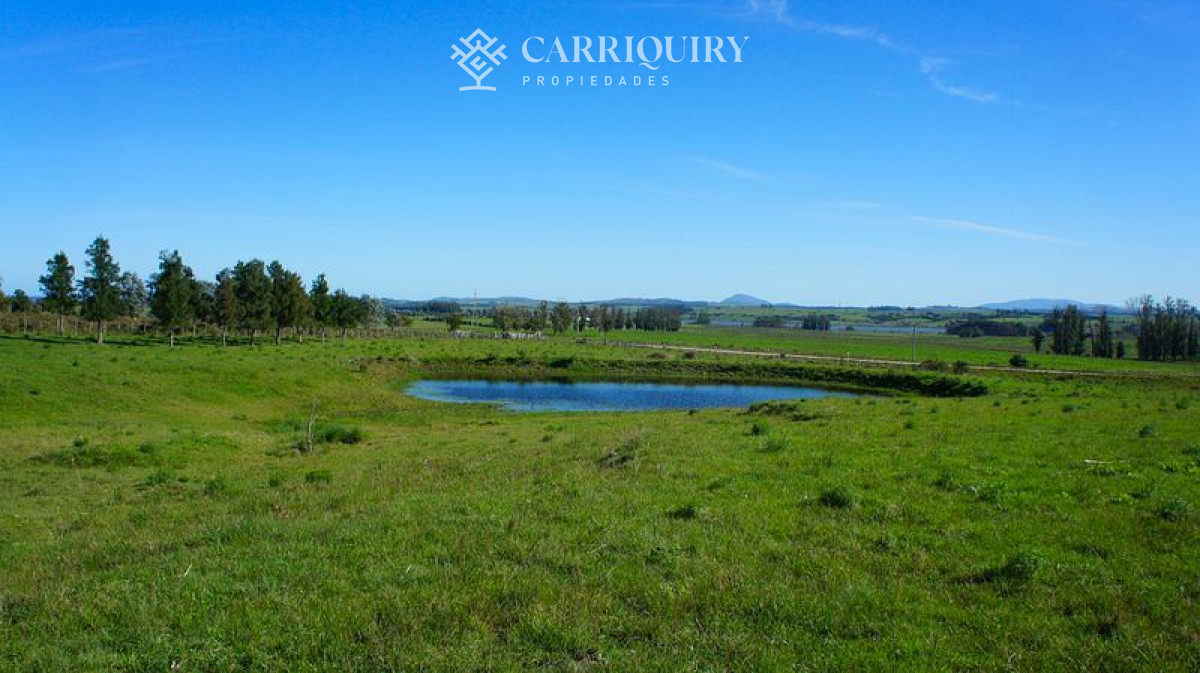 Chacra ID.4661/2-Fracciones-de-5-Has-exactamente-al-fondo-de-La-Pataia-a-5-minutos-de-Punta-! - Chacra en venta Laguna Del Sauce 