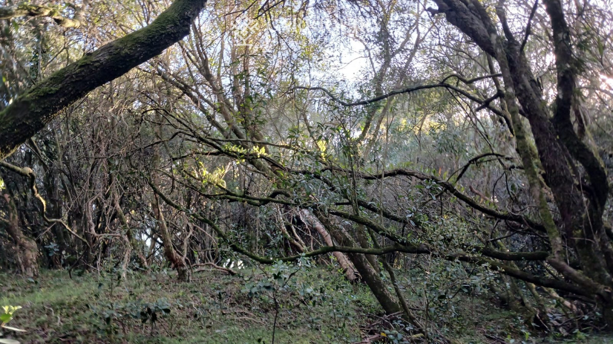 Chacra ID.9672/CHACRA-EN-VENTA-CASI-2-HÁS- - Campo 63 Has en Venta sobre Ruta 12 | Proyecto Aprobado 3 Has | Junto a Pueblo Edén | Ideal Desarrollo Inmobiliario