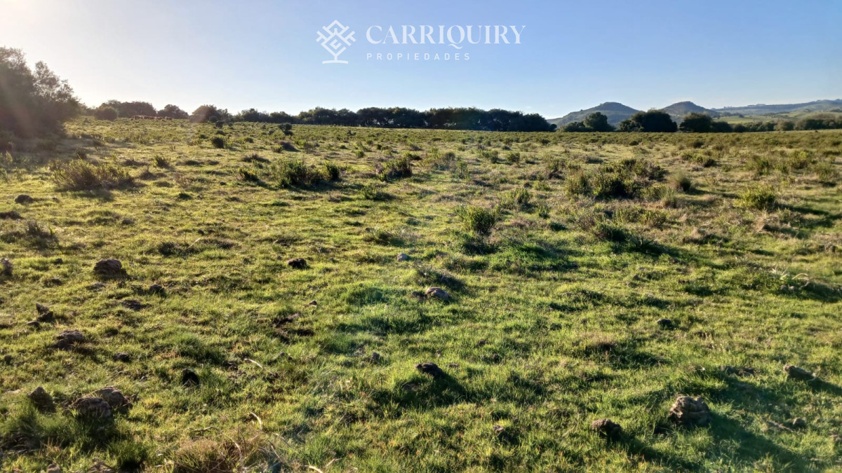 Chacra ID.9672/CHACRA-EN-VENTA-CASI-2-HÁS- - Campo 63 Has en Venta sobre Ruta 12 | Proyecto Aprobado 3 Has | Junto a Pueblo Edén | Ideal Desarrollo Inmobiliario