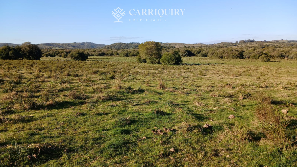 Chacra ID.9672/CHACRA-EN-VENTA-CASI-2-HÁS- - Campo 63 Has en Venta sobre Ruta 12 | Proyecto Aprobado 3 Has | Junto a Pueblo Edén | Ideal Desarrollo Inmobiliario
