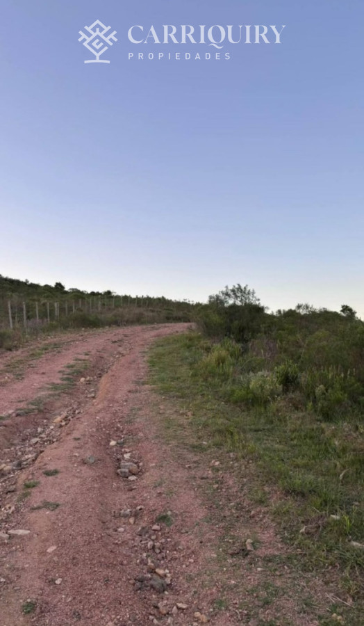 Chacra ID.9657/Venta-de-Chacra-en-Villa-Serrana - CHACRA EN VENTA SAN CARLOS 