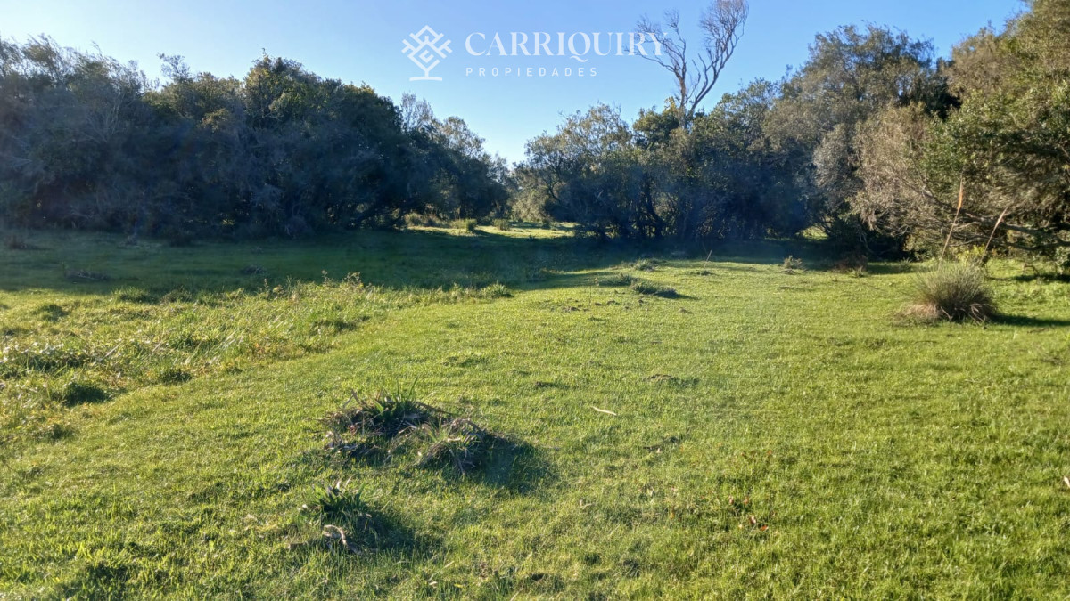 Chacra ID.9672/CHACRA-EN-VENTA-CASI-2-HÁS- - Campo 63 Has en Venta sobre Ruta 12 | Proyecto Aprobado 3 Has | Junto a Pueblo Edén | Ideal Desarrollo Inmobiliario