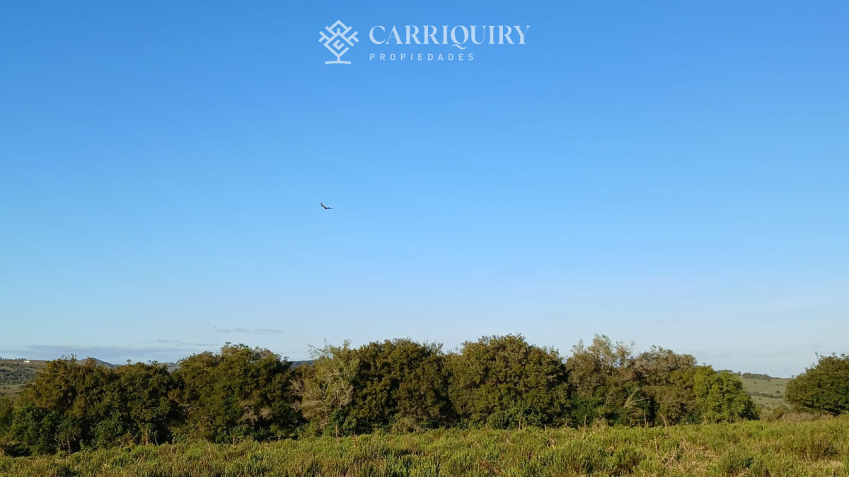 Chacra ID.9672/CHACRA-EN-VENTA-CASI-2-HÁS- - Campo 63 Has en Venta sobre Ruta 12 | Proyecto Aprobado 3 Has | Junto a Pueblo Edén | Ideal Desarrollo Inmobiliario