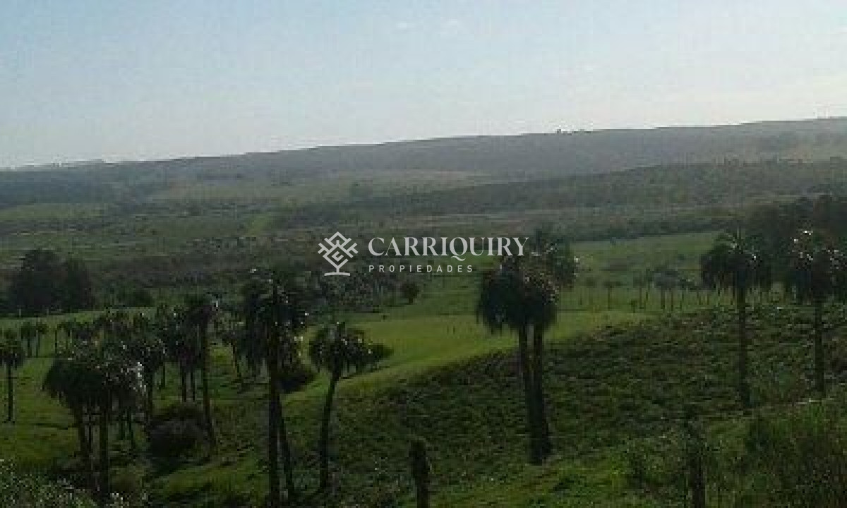 Campo en venta - GoPunta - Portal Inmobiliario de Punta del Este - Maldonado