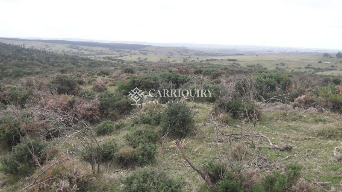 Campo en venta - GoPunta - Portal Inmobiliario de Punta del Este - Maldonado
