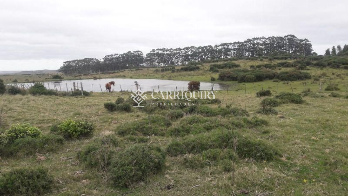 Campo en venta  