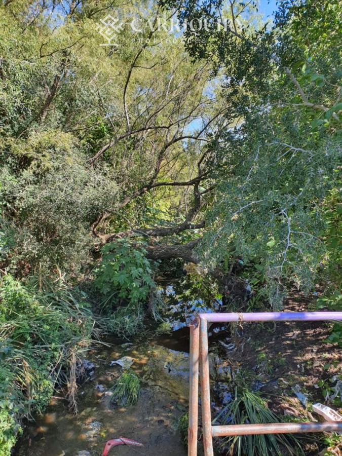 Campo Ref.3763/Campos-en-Venta--Carriquiry--Propiedades - Venta de Campo en Montevideo Zona Rural