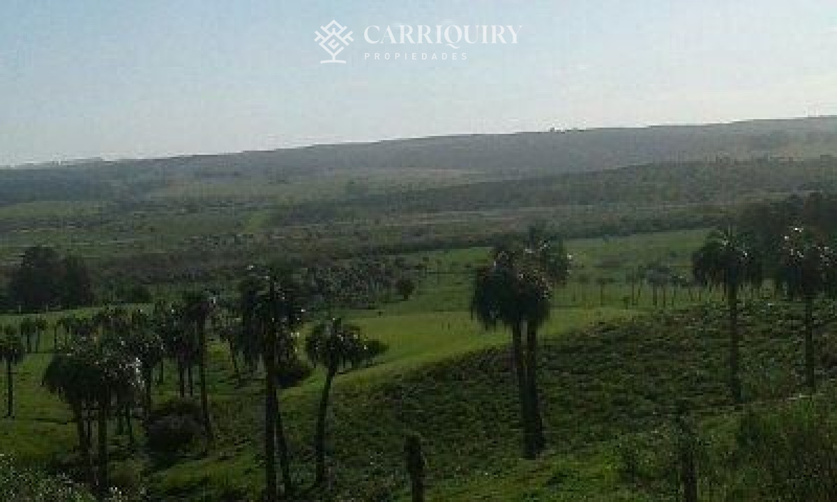 Campo Ref.398/Venta-de-Campo-en-Montevideo-Zona-Rural - Campo en venta  