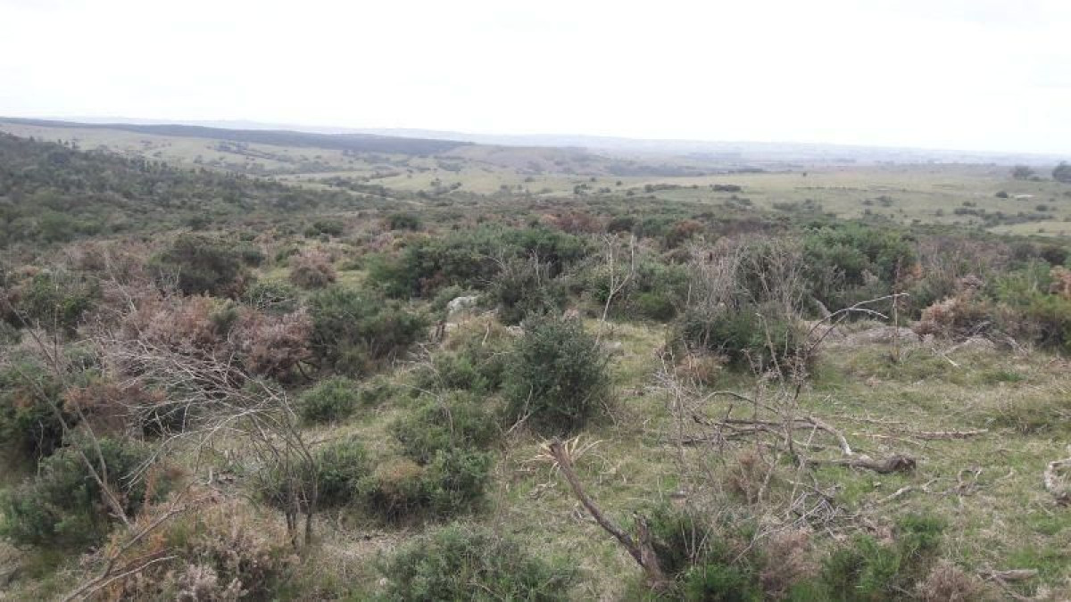 Campo Ref.398/Venta-de-Campo-en-Montevideo-Zona-Rural - Campo en venta  
