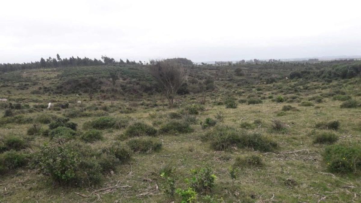 Campo Ref.398/Venta-de-Campo-en-Montevideo-Zona-Rural - Campo en venta  